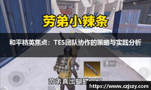 和平精英焦点：TES团队协作的策略与实践分析